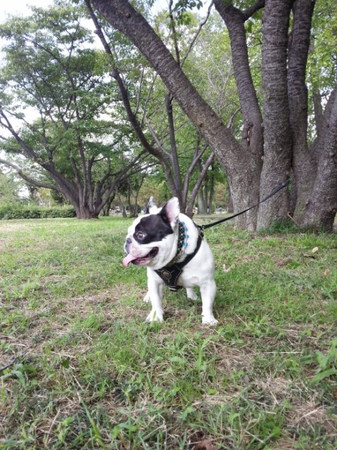 20130929_Gab_01