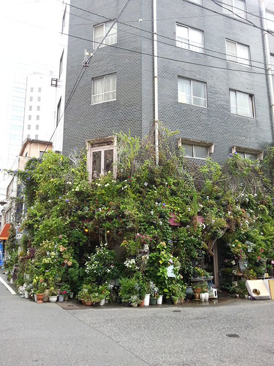 20140804_Hiroshima_Flower_shop