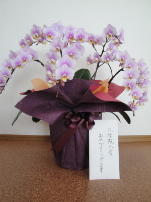 入学祝いにお花を頂きました。