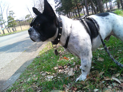 水元公園にて・Butch
