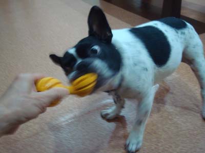 今日は元気？ Butch