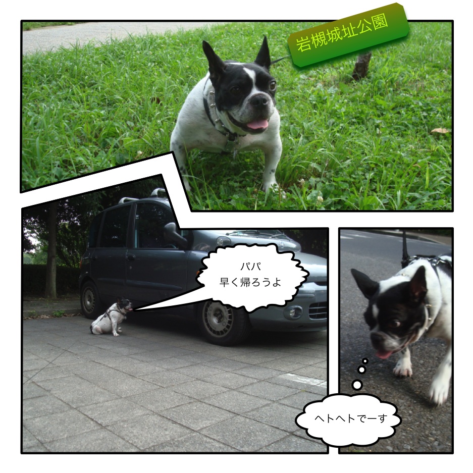 久々の散歩・Butch