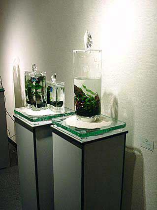 若林茂人　ガラスの世界展　2000　aquarium.